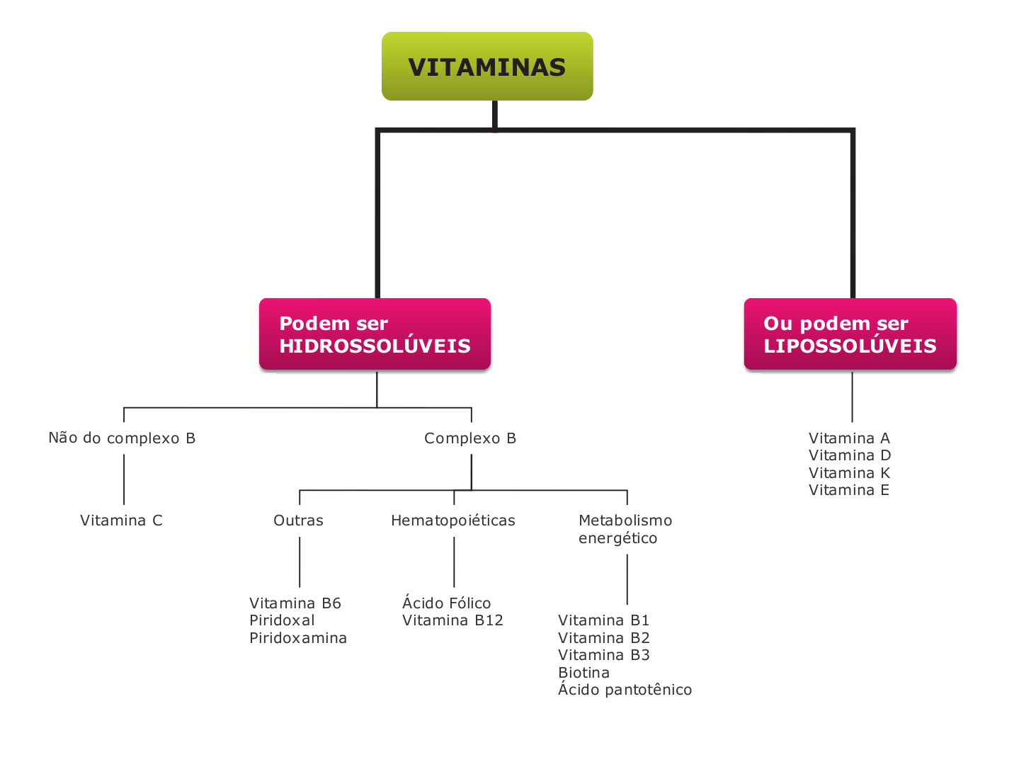 Mapa Conceitual – Vitaminas – Vitaminando